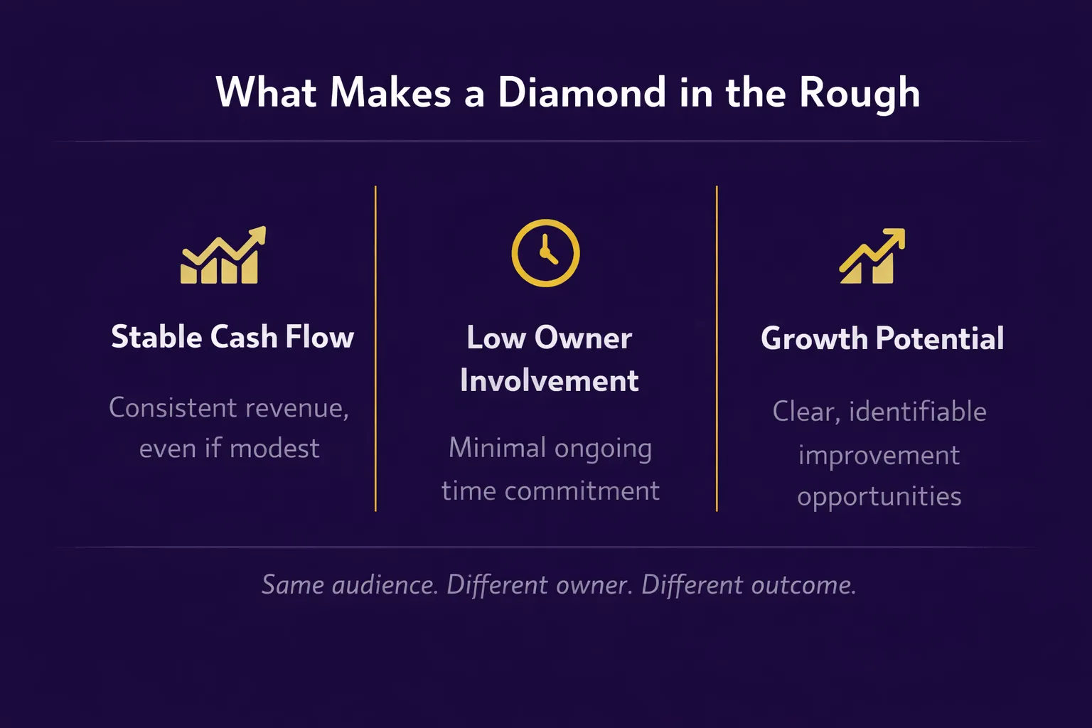 What makes a diamond in the rough: stable cash flow, low owner involvement, growth potential