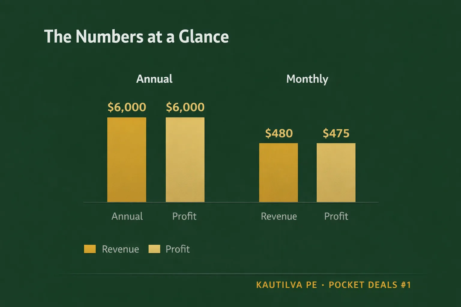 The numbers at a glance: $6,000 annual revenue and profit, $480 monthly revenue, $475 monthly profit